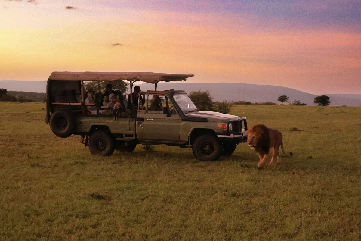 7 Days Northern Tanzania Classic Group Safari