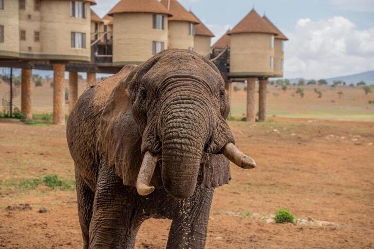Salt Lick Safari Lodge: Everything You Need to Know Before Booking