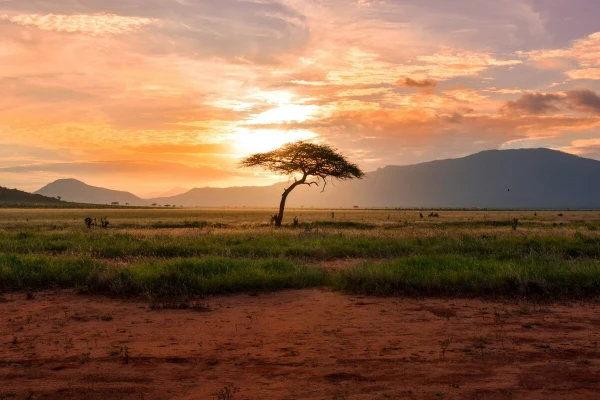 7-tägige Masai Mara-, Lake Nakuru- und Amboseli-Safari