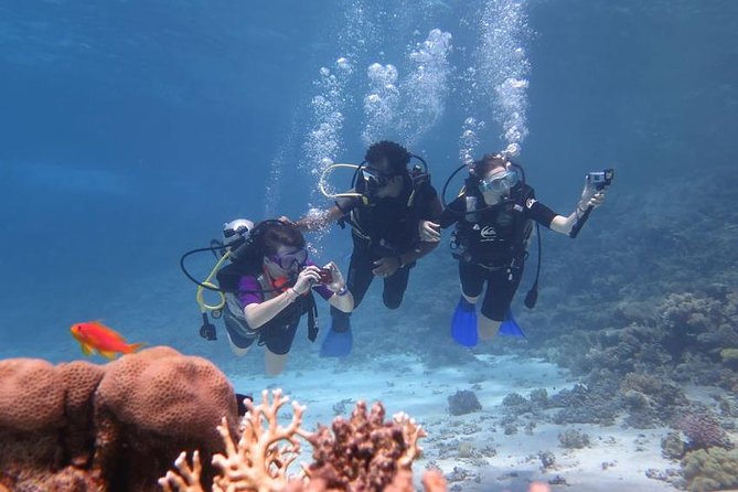Scuba Diving Trip — Zanzibar Underwater Paradise