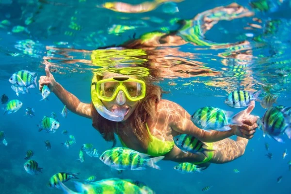 Safari Blue & Snorkelling Full-Day Tour