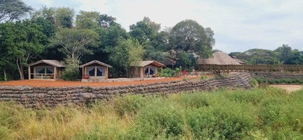 Fig Tree Camp